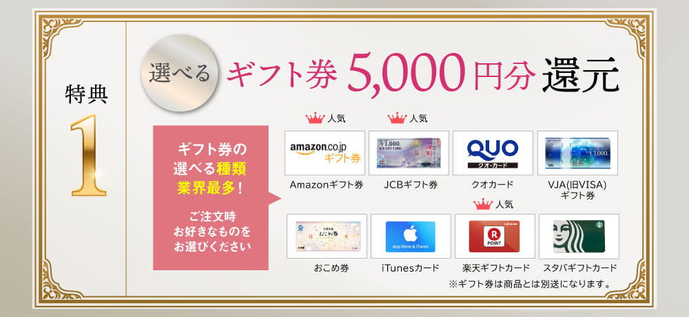 30日間返品保証付き