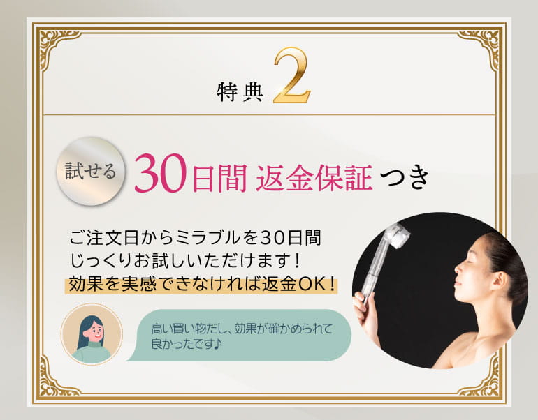 30日間返品保証付き