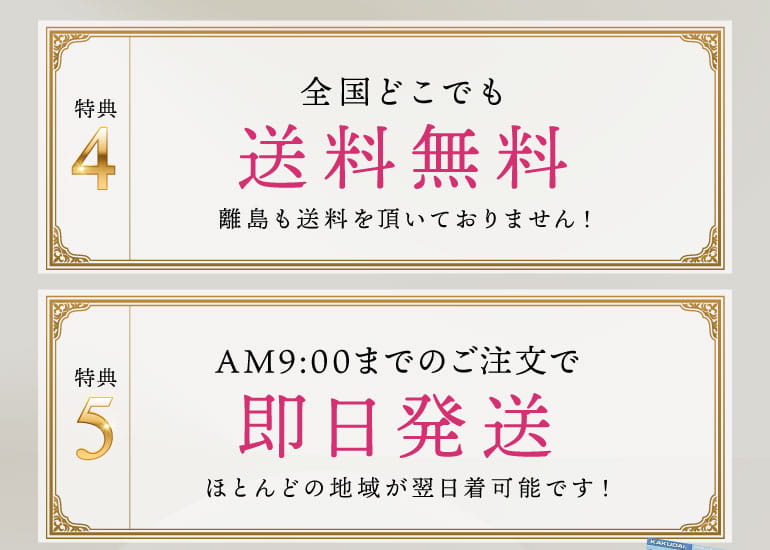送料無料、即日発送