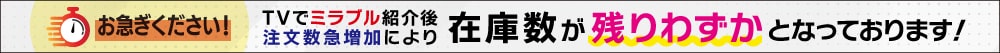 在庫残り僅か